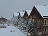 InterContinental Mzaar Hotel and Spa Mzaar Kfardebian Lebanon - Christmas tree