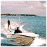 Water Skiing in Jounieh Bay